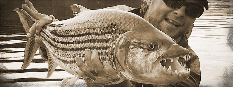 The Fishing - Safari Landia