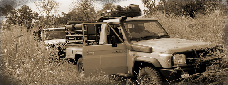 The Terrain - Safari Landia