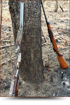 Hunting Safaris - Safari Landia