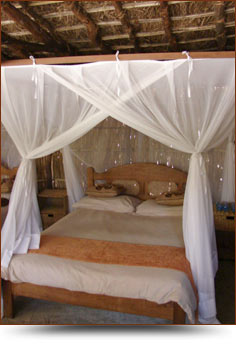 The Camp - Safari Landia